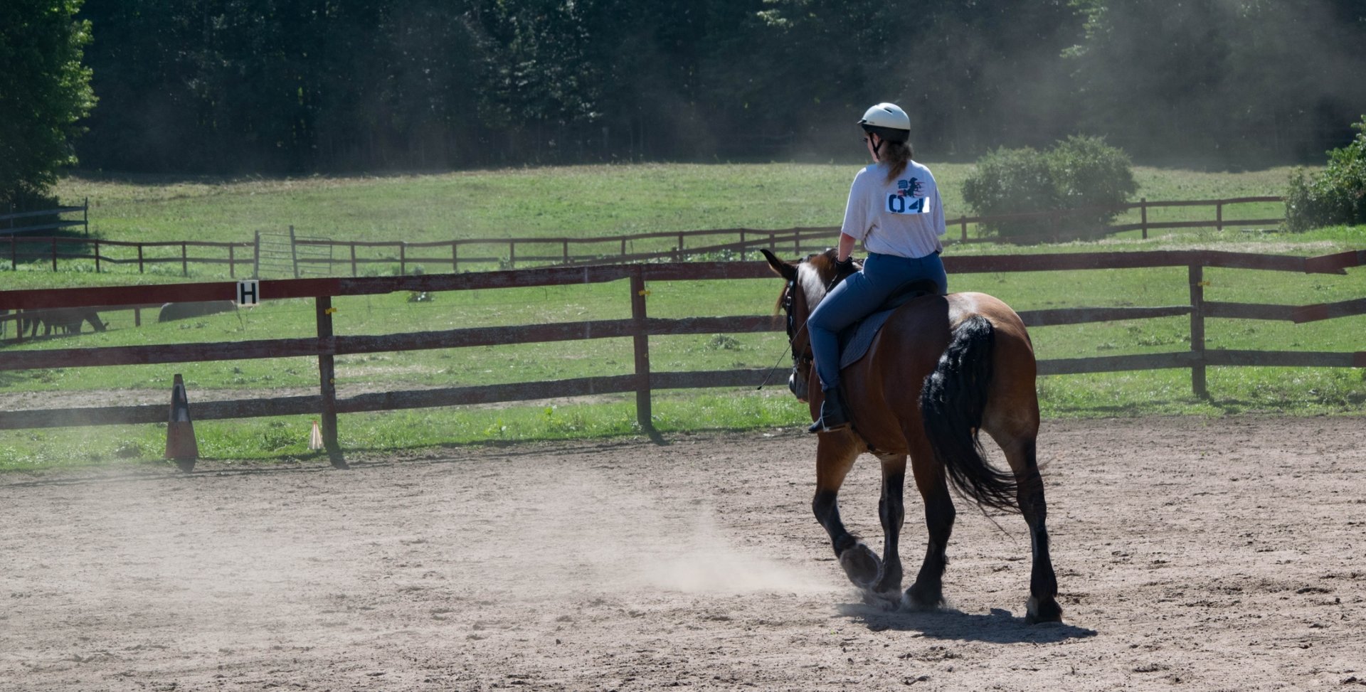 English saddle and tack