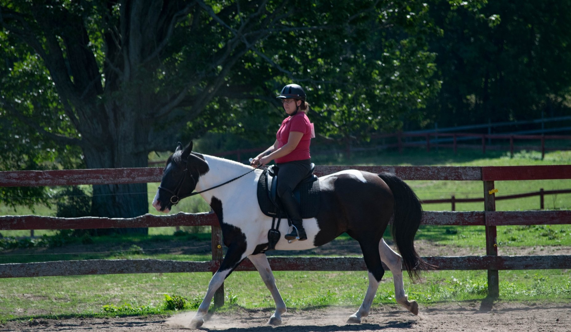 Riding lesson in arena
