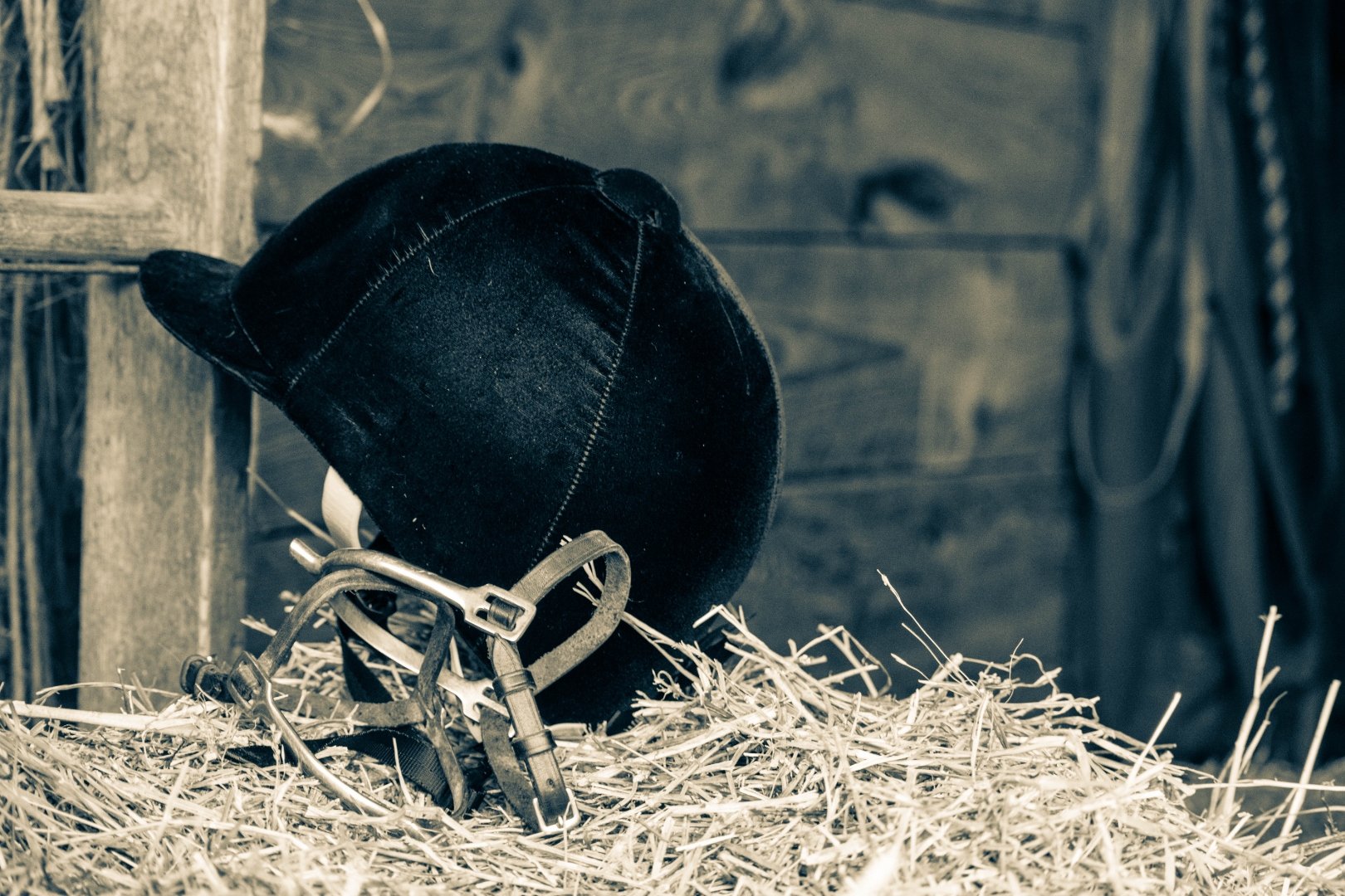 Riders training in arena