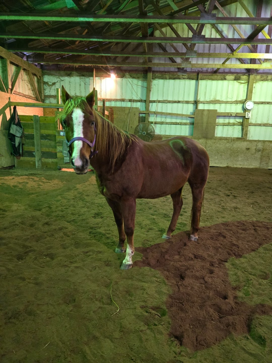 Indoor riding arena at Liberty Stables